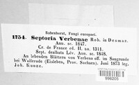 Septoria verbenae image